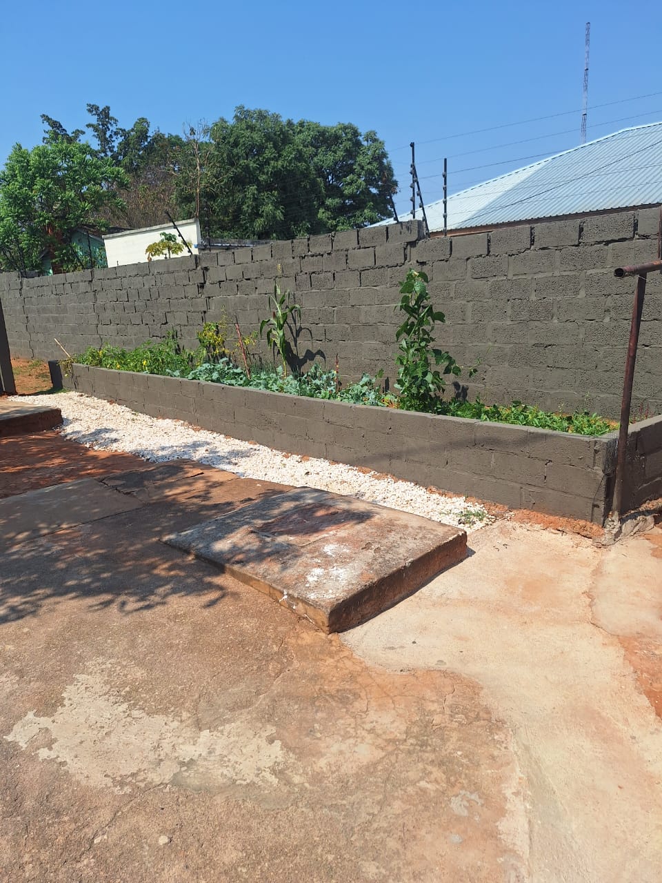 2 Bedroomed Flat - Avondale Lusaka